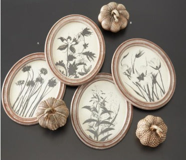 Wood Framed Oval Black & White Botanical