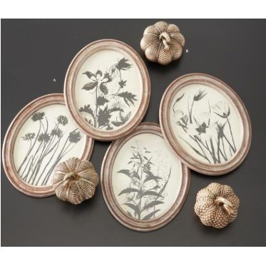 Wood Framed Oval Black & White Botanical