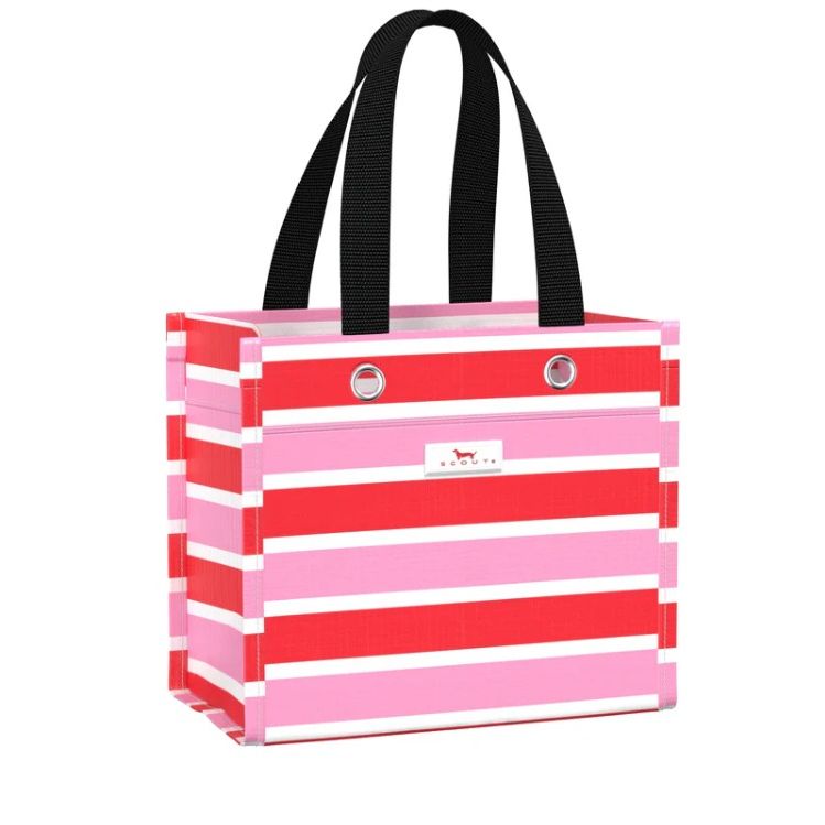 Candy Striper Gift Bag Small