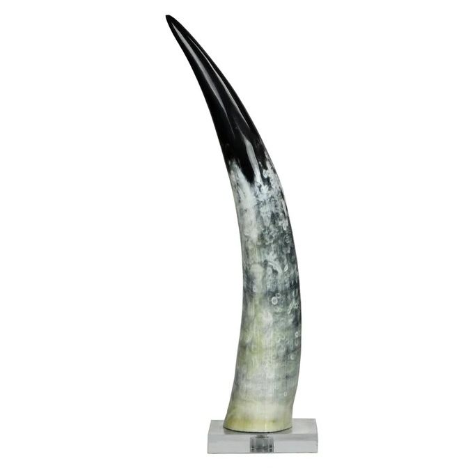 Black and White Cow Horn on Base