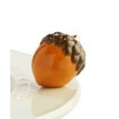 Acorn Mini