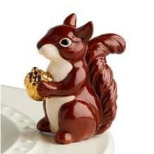 Mr. Squirrel