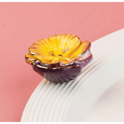 Pansy Pop Mini