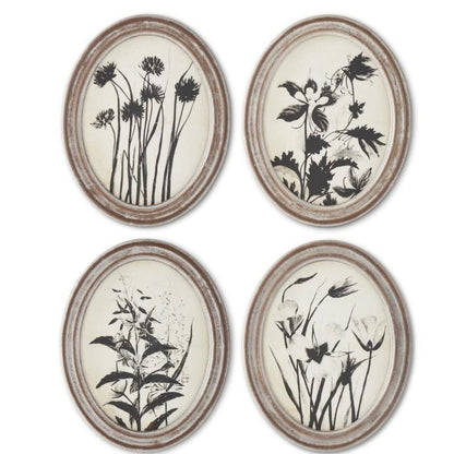 Wood Framed Oval Black & White  Botanical