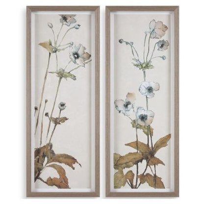Garden Study Framed Prints, S/2