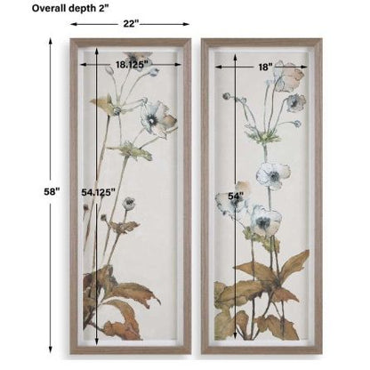 Garden Study Framed Prints, S/2