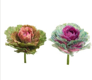REAL TOUCH CABBAGE PICK