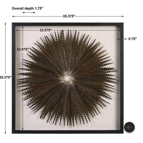 FEATHER BURST SHADOW BOX