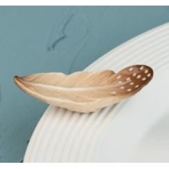 creative quill (feather)
