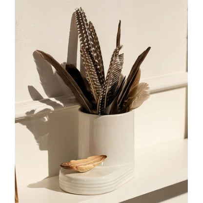 creative quill (feather)