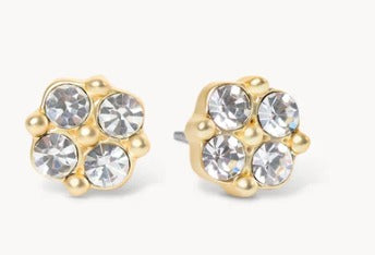 Stud Earrings Blessed/Crystal Clover