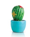 Catcus Mini