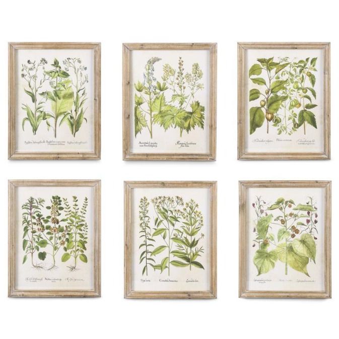 Botanical Prints in Natural Wood Frame