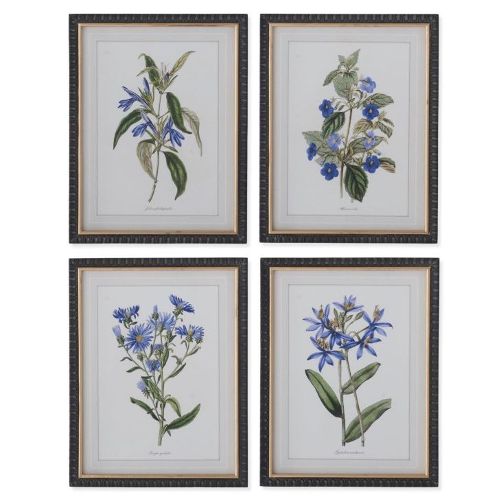 Decorative Black & Gold Framed Blue Botanical Print