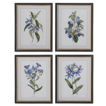 Decorative Black & Gold Framed Blue Botanical Print