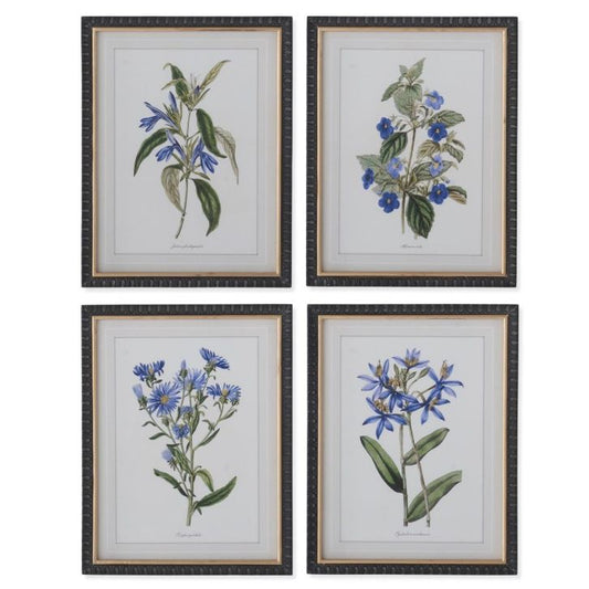 Decorative Black & Gold Framed Blue Botanical Print