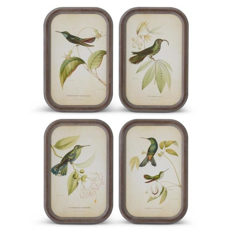 Rounded Wood Framed Bird Print