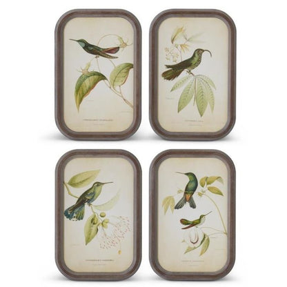 Rounded Wood Framed Bird Print