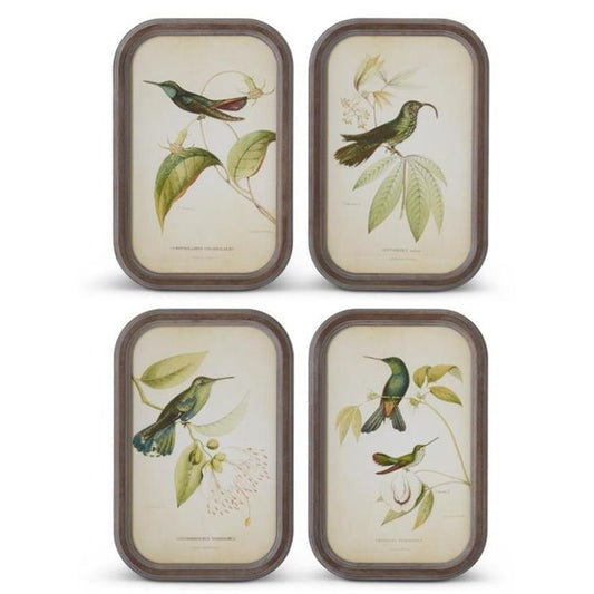 Rounded Wood Framed Bird Print