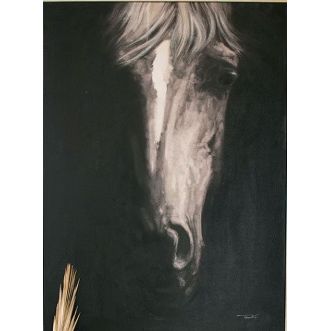 Framed Black and White Front View Horse Painting