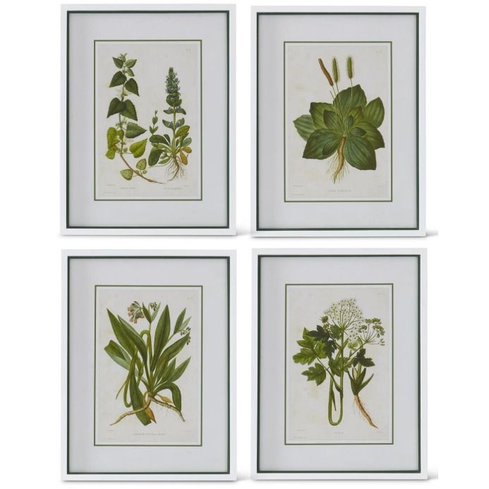 White Framed Green Flowering Botanical Print