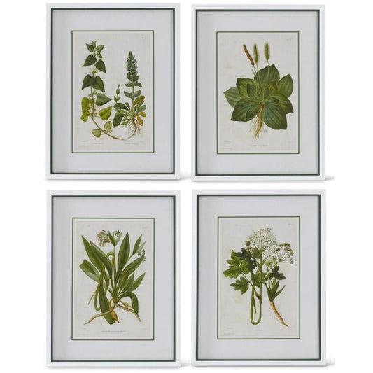 White Framed Green Flowering Botanical Print