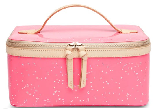 Shine Train Case