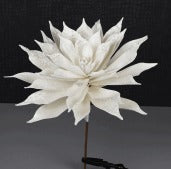 WHITE FROSTED ECHEVERIA PICK