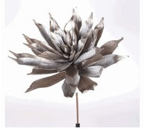 PLATINUM CRACKLE GLT EHEVERIA PICK