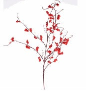 RED BERRY BRANCH