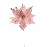 CORAL POINSETTIA STEM