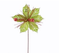 POINSETTIA STEM GREEN/RED