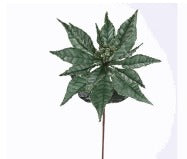 VEL GLT POINSETTIA STEM WINTER GREEN