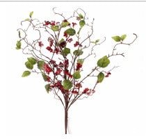 FROSTED VIBURNUM BERRY BUSH RED GREEN