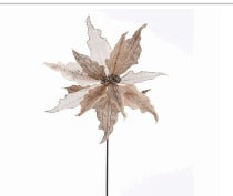 CHAMPAGNE POINSETTIA SINGLE STEM