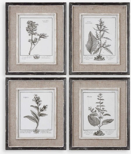 CASUAL GREY STUDY FRAMED PRINTS, S/4