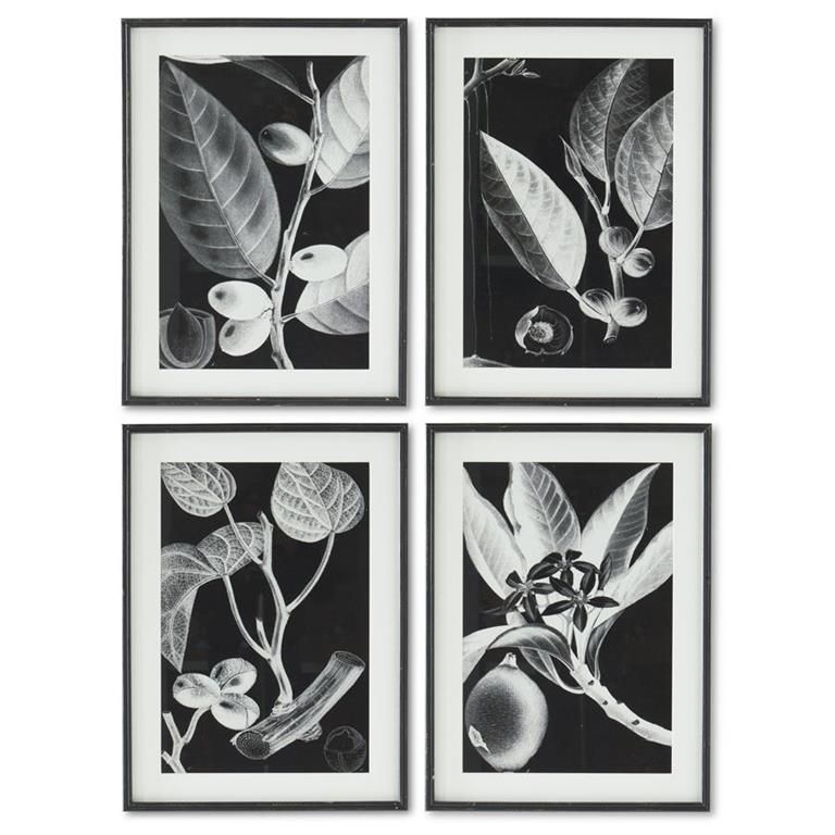 30 Inch Black Wood Framed Botanical Print