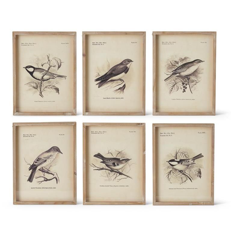 BROWN WOOD FRAMED BIRD PRINTS