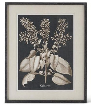 Black & White Framed Olive Print