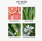 Grapefruit Reed Diffuser Liquid Refill