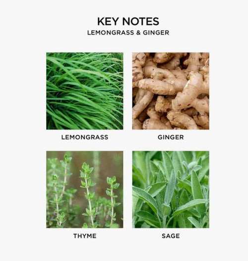 Lemongrass & Ginger Reed Diffuser