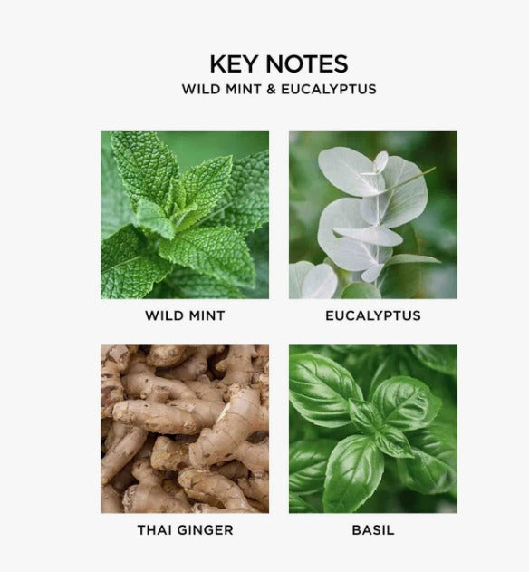 Wild Mint & Eucalyptus Reed Diffuser
