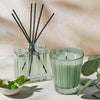 Wild Mint & Eucalyptus Reed Diffuser